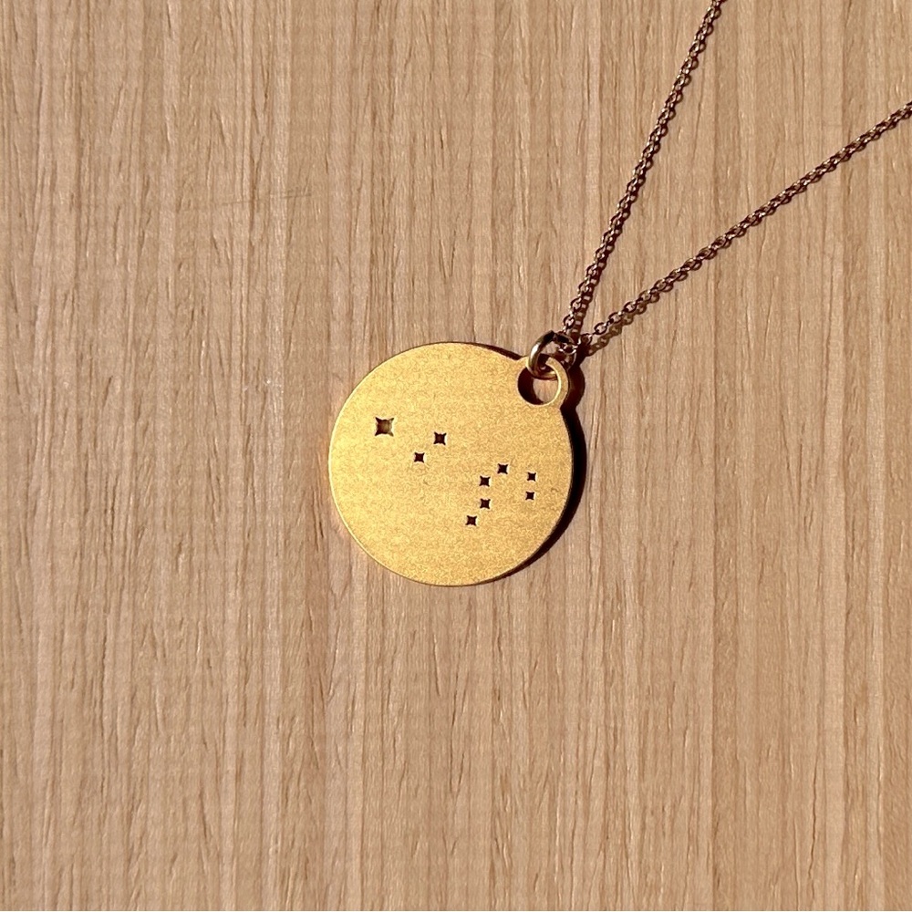 Leo ♌️ Constellation Necklace